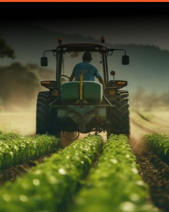 Government-Public-Sector